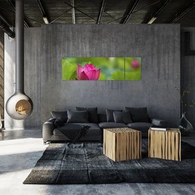 Obraz - roślina wodna (170x50 cm)