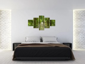 Obraz - Most wiszący (125x70 cm)