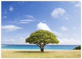 Obraz na szkle - plaża z drzewem (70x50 cm)