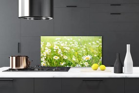 Szkło do Kuchni na Ścianę Polana Białych Stokrotek