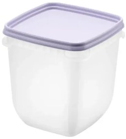 SmartStore Zestaw plastikowych pojemników Freezer3 szt., lewan dule, 1000 ml, 1000 ml