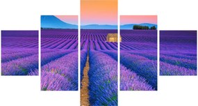 Obraz - Lewndowe pole (125x70 cm)