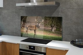 Panel nad Blat Kuchenny Spokój Jelenia na Polanie