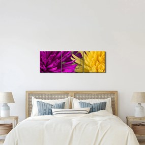 Obraz - szczegóły kwiatów (z zegarem) (90x30 cm)