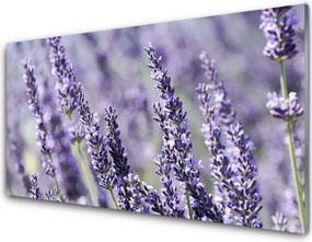 Panel Szklany Natura W Pełnym Rozkwicie