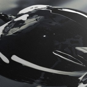 Obraz czarnego jabłka (170x50 cm)