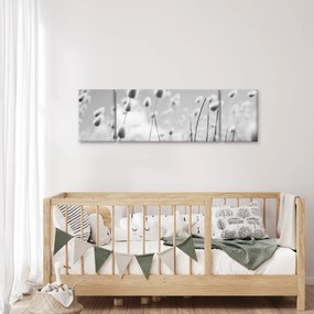 Obraz - Trawa z ogonkiem króliczka Boho (170x50 cm)