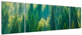 Obraz - Las sosnowy (170x50 cm)