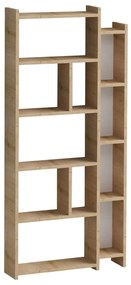 Regał w dekorze dębu 65x150 cm Momo – Kalune Design