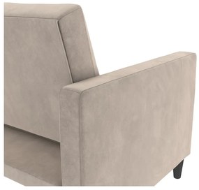 Jasnoszara aksamitna sofa 207 cm Celine – Støraa