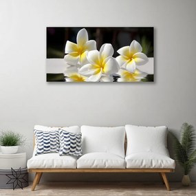 Zdjęcie na płótnie Harmonijny Bukiet Polny