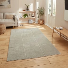 Jasnoszary dywan 120x170 cm Elio Silver – Think Rugs