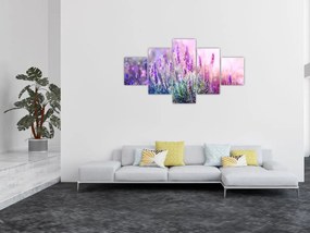 Obraz - Lawenda w słońcu (125x70 cm)