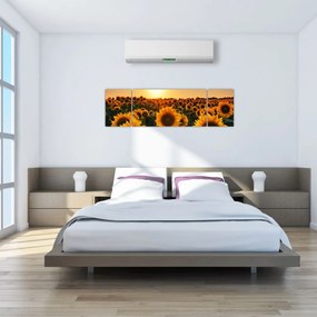 Obraz - Słonecznik (170x50 cm)