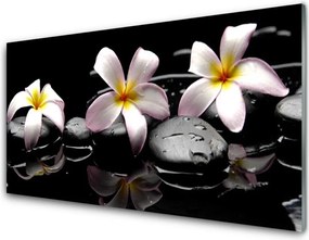 Panel Szklany do Kuchni Kwiat Na Gładkich Kamieniach