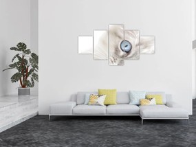 Obraz - Kot z niebieskimi oczami (125x70 cm)