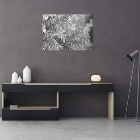 Obraz - Las świerkowy (70x50 cm)