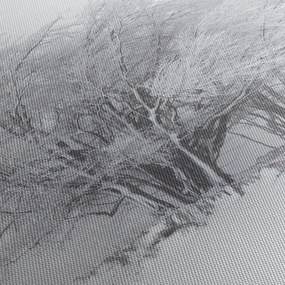 Obraz - Biała zima (z zegarem) (90x30 cm)