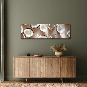 Obraz - Kokosy (170x50 cm)