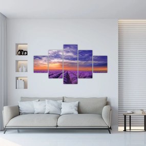 Obraz lawendowego pola (125x70 cm)