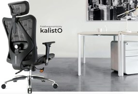 Ergonomiczny fotel biurowy Kalisto, zgodny z normą BHP