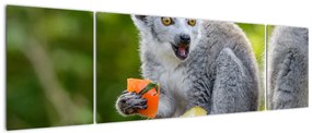 Obraz lemura (170x50 cm)