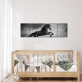 Obraz - Czarny i biały koń (170x50 cm)