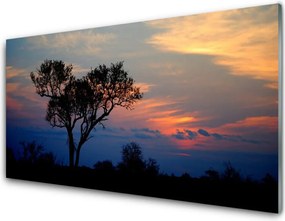 Panel Kuchenny Rozłożyste Drzewo W Polu