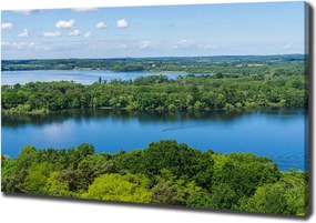 Foto obraz na płótnie Las nad jeziorem