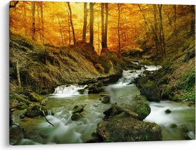 Obraz - Las (70x50 cm)