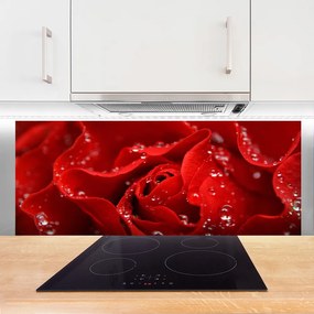 Panel Kuchenny Dzika Róża W Rozkwicie