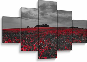 Obraz maków (125x70 cm)