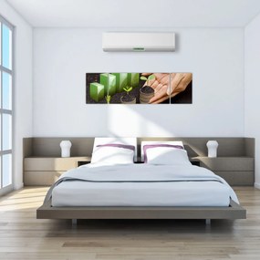 Obraz - Wzrost (170x50 cm)