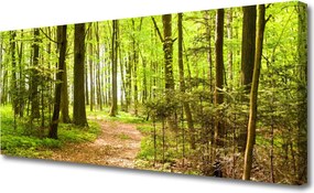 Obraz na płótnie Ścieżka w Głębi Lasu