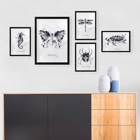 Obrazy zestaw 5 szt. Butterfly – Wallity