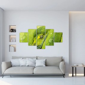 Obraz węża (125x70 cm)