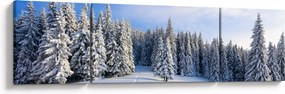 Obraz - Zima w lasach (170x50 cm)