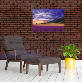 Obraz na szkle lawendowej łąki (70x50 cm)