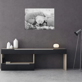Obraz - Niedźwiedzie polarne (70x50 cm)