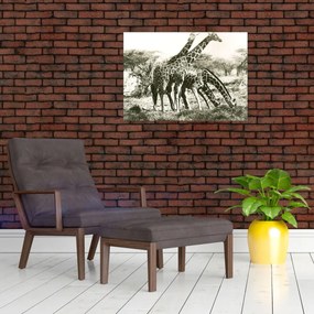 Obraz na szkle - Żyrafy, vintage (70x50 cm)
