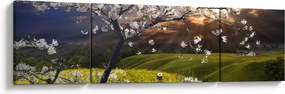 Obraz - Kwitnące drzewo w krajobrazie (170x50 cm)