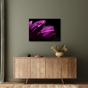 Obraz na szkle  - Kropla wody (70x50 cm)