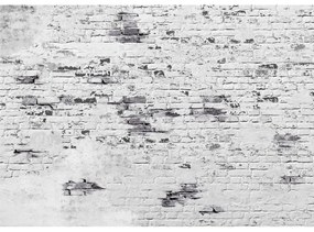 Fototapeta flizelina XXL Bricks 360 x 254 cm, 4części