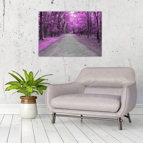 Obraz - Ścieżka przez park (70x50 cm)