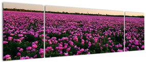 Obraz - Łąka fioletowych tulipanów (170x50 cm)