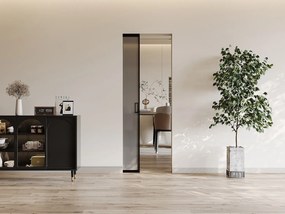 Drzwi przesuwne chowane w ścianie - aluminium i dymione szkło hartowane - wys. 205 x szer. 73 cm - LINCI II