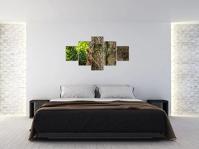 Obraz - wiewiórka (125x70 cm)