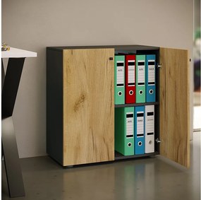 Szafka biurowa z kartoteką Lona 2-krotna