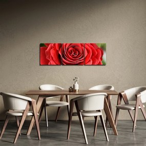 Obraz kwiatu róży (z zegarem) (90x30 cm)