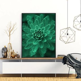 Plakat - Conifer Green (A4)